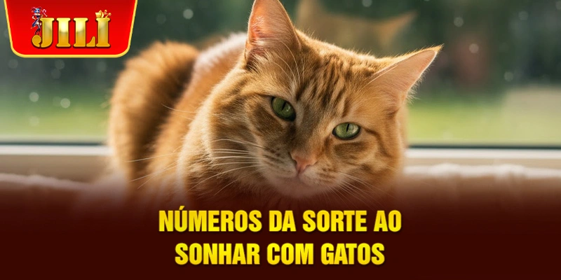 Números da sorte ao sonhar com gatos