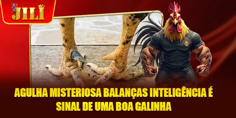 Agulha misteriosa balanças inteligência é sinal de uma boa galinha