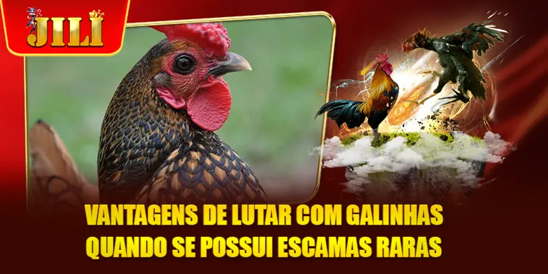 Vantagens de lutar com galinhas quando se possui escamas raras